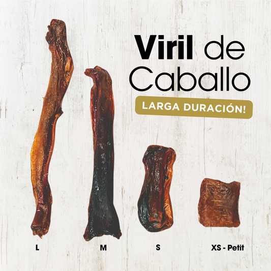 Viril de Caballo