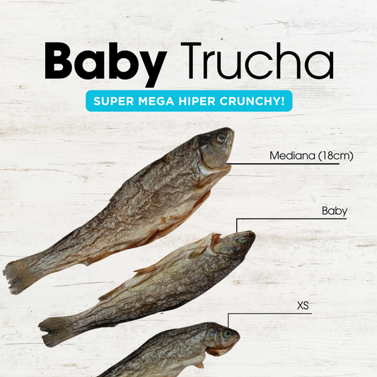 Baby Trucha entera