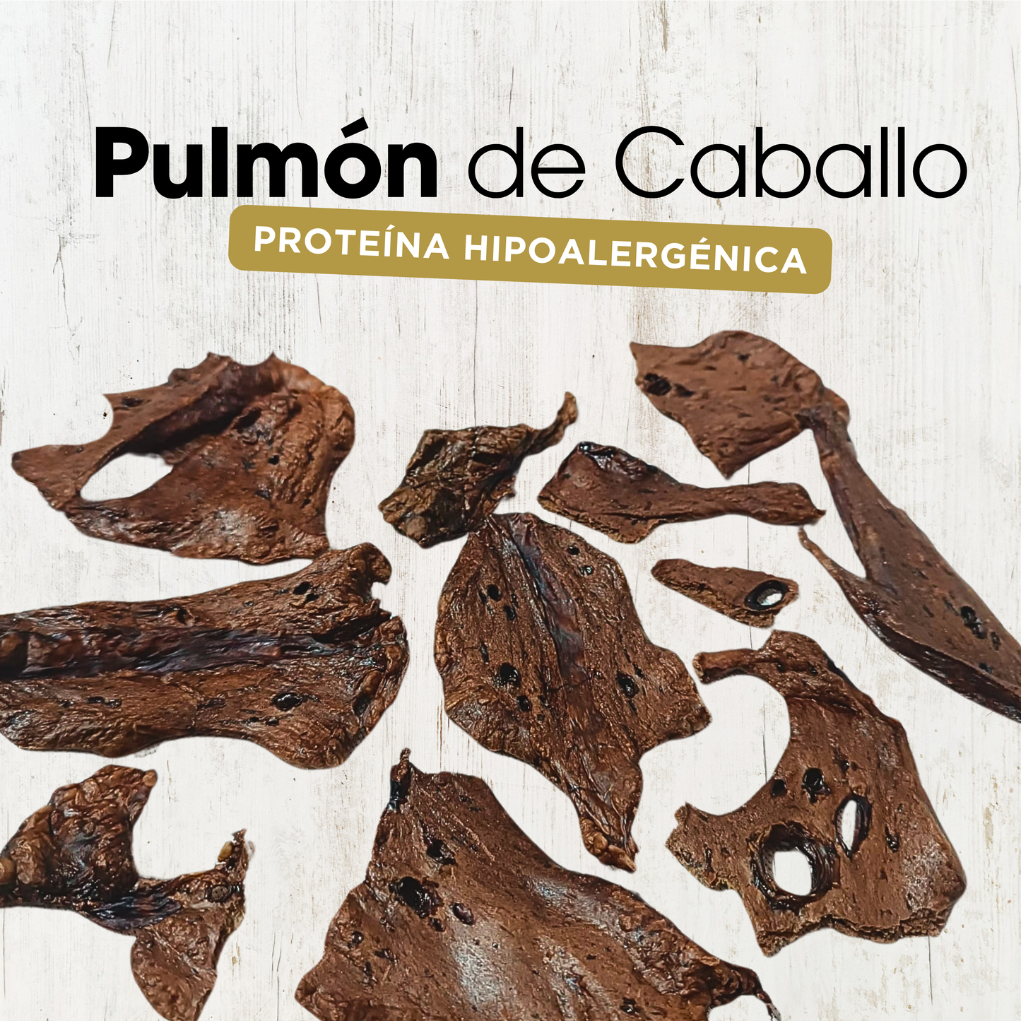 Pulmón de Caballo