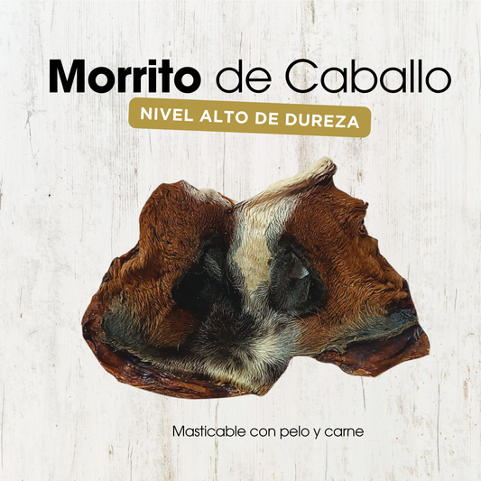 Morrito de Caballo