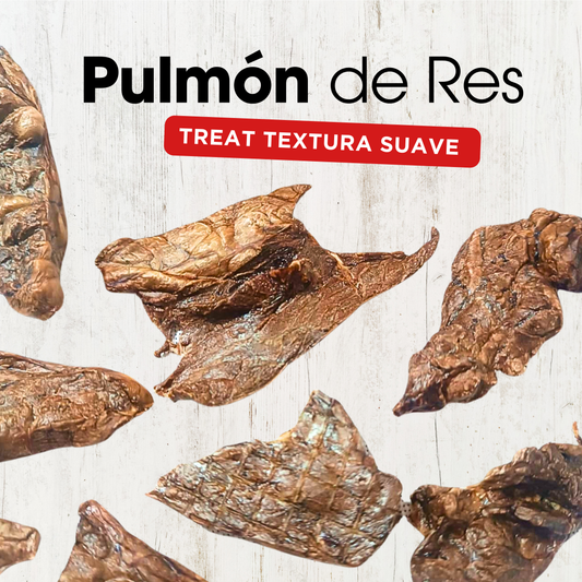 Pulmón de Res