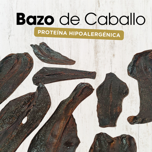 Bazo de Caballo