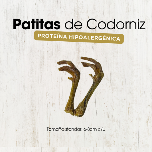 Patitas de Codorniz